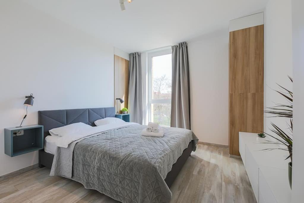 Luxury Apt. Near River & Parking Timişoara Exterior foto